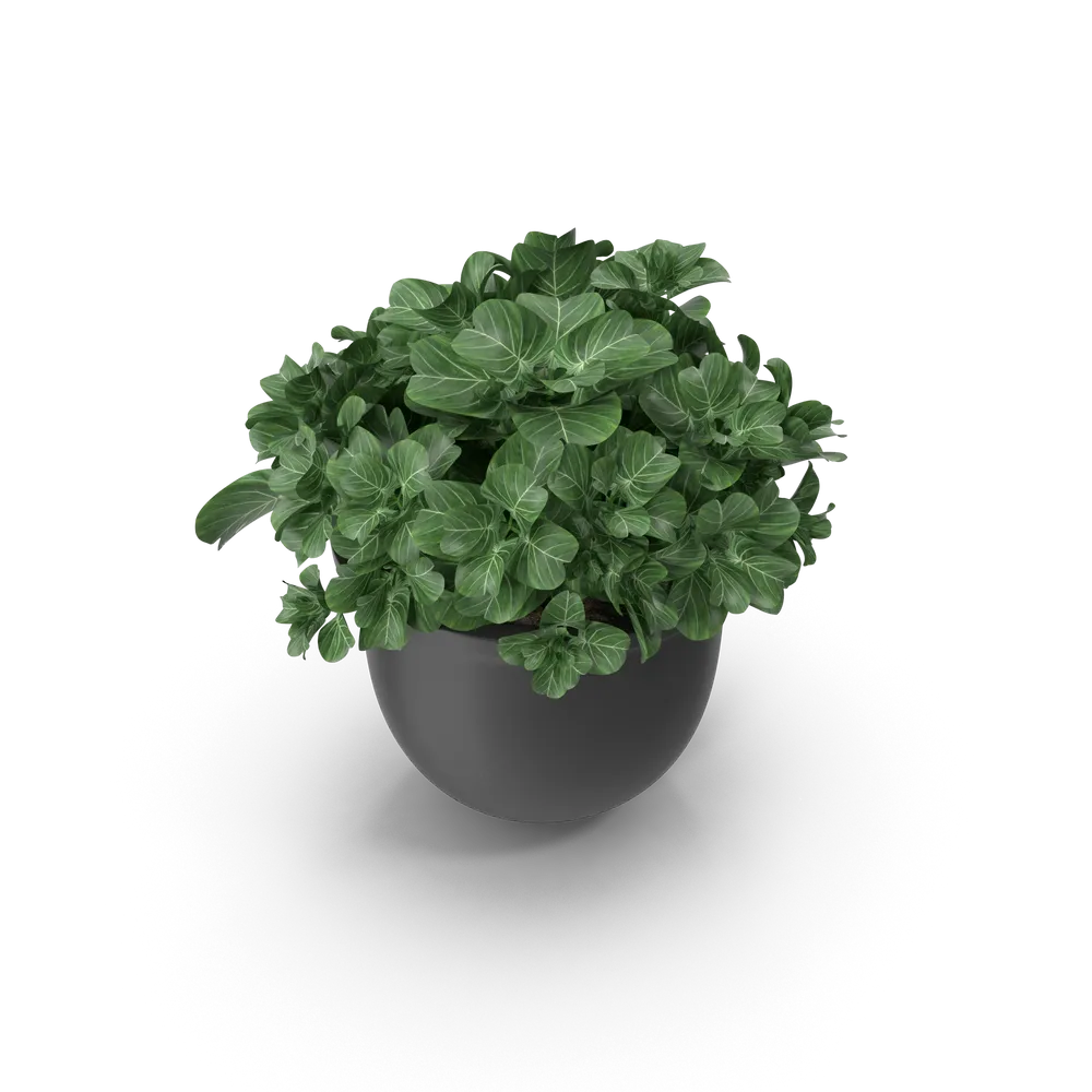 Indoor planter — illustrative photo