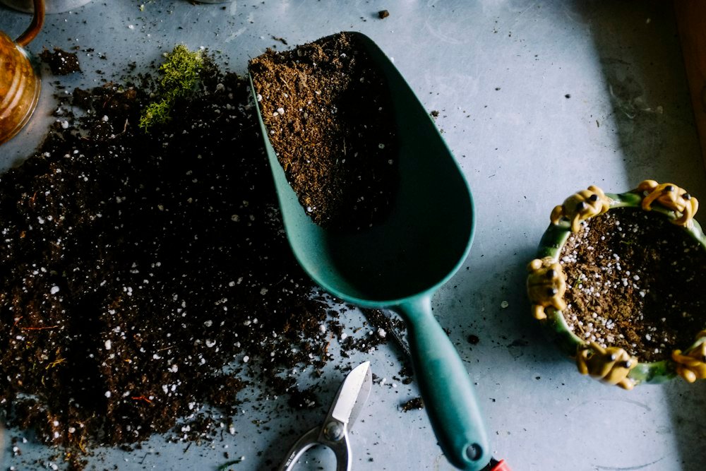 Botanical potting mix — illustrative photo